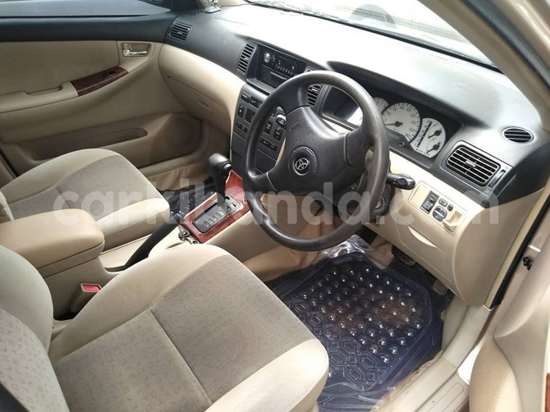 Big with watermark 66452385 1376736639141071 1044011132664152064 n