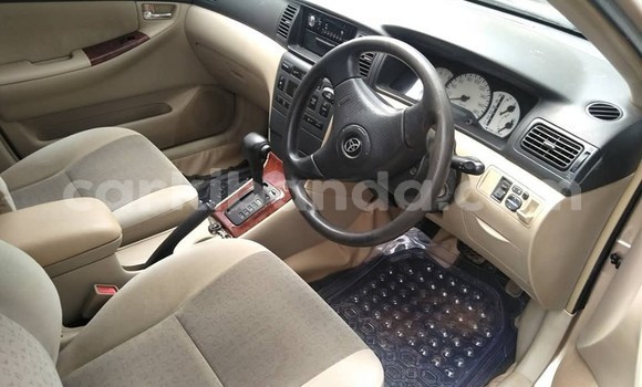 Buy Used Toyota Allex Brown Car in Kampala in Uganda Buy Used Toyota Allex Brown Car in Kampala in Uganda