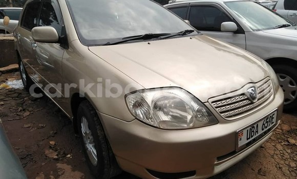 Buy Used Toyota Allex Brown Car in Kampala in Uganda Buy Used Toyota Allex Brown Car in Kampala in Uganda
