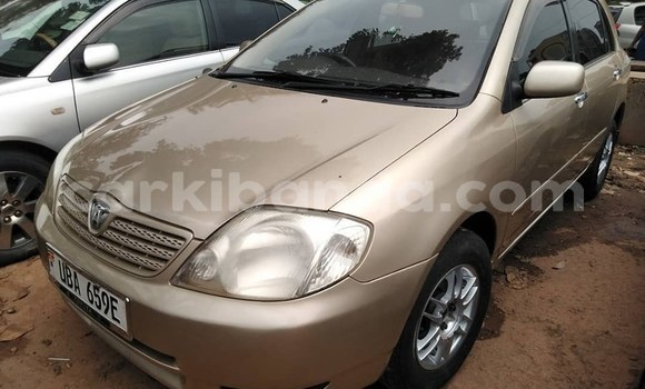 Buy Used Toyota Allex Brown Car in Kampala in Uganda Buy Used Toyota Allex Brown Car in Kampala in Uganda