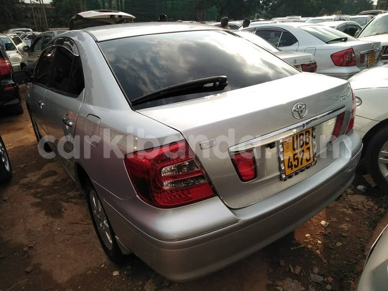 Big with watermark 67469429 1376527709161964 5471723609946849280 n