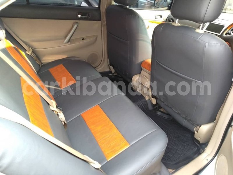 Big with watermark 67167182 1376527595828642 6677342198612099072 n