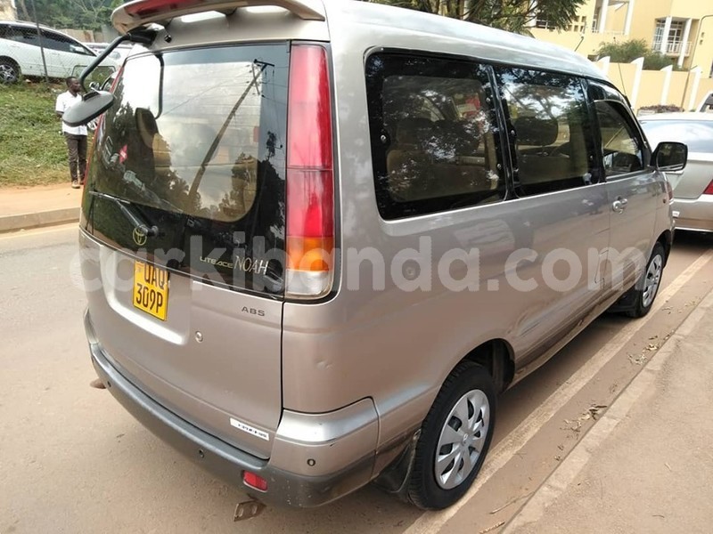 Big with watermark 66856620 1375780605903341 787171177830285312 n