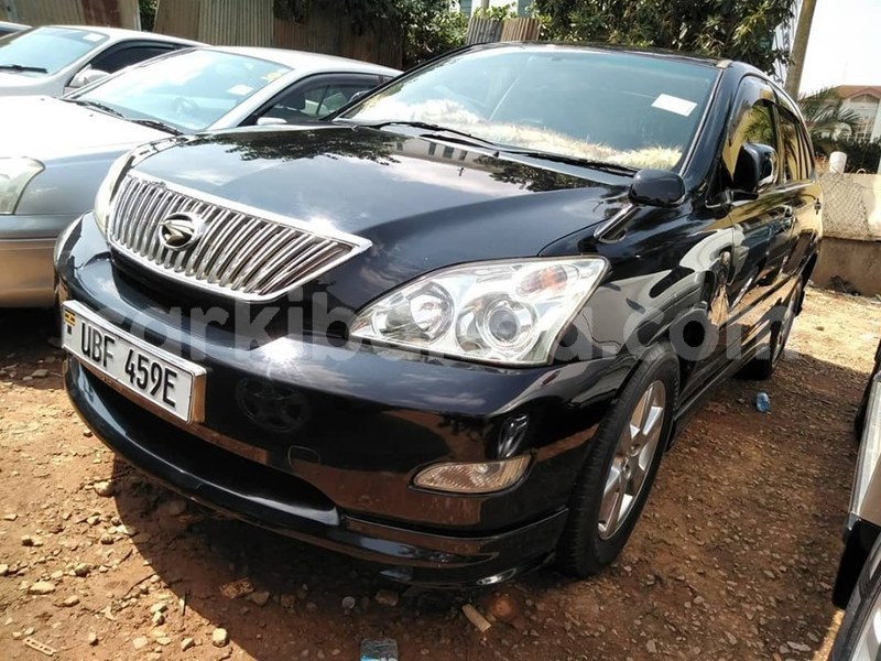 Big with watermark 67509928 1375777332570335 4418086987420925952 n