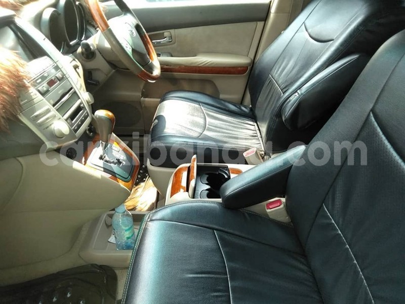 Big with watermark 67534378 1375777245903677 3283927162683392000 n