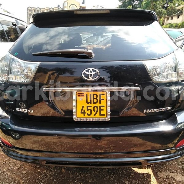 Big with watermark 67380180 1375777159237019 3380722204978184192 n