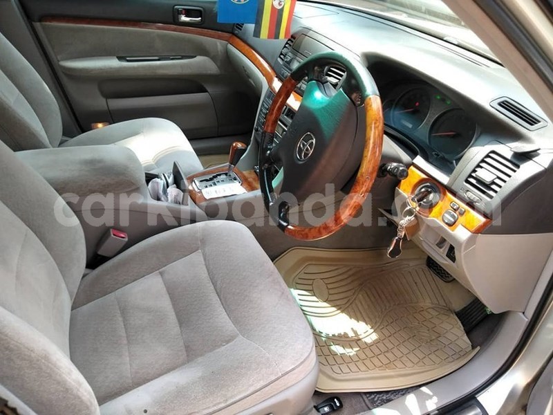 Big with watermark 67059853 1375776585903743 1229645374453448704 n