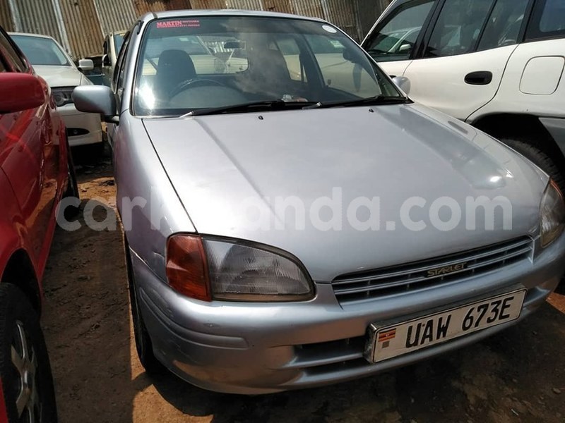 Big with watermark 67175289 1375109842637084 3990744145265164288 n