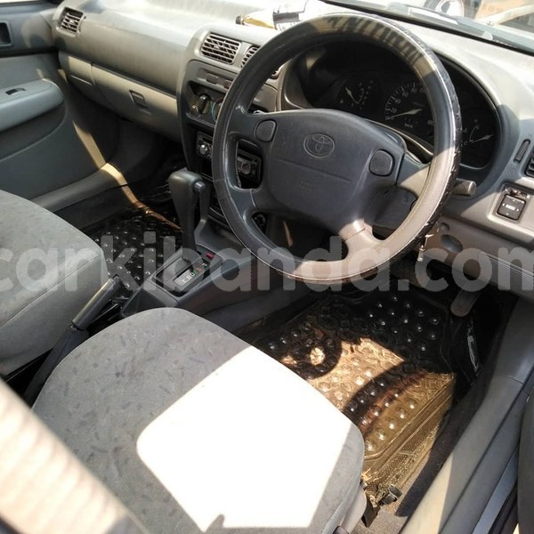 Big with watermark 67084380 1375109742637094 1364869563614756864 n