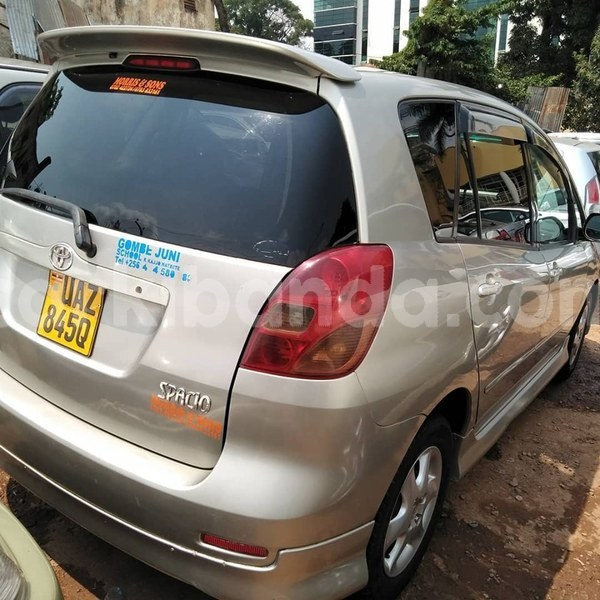 Big with watermark 67138445 1375108582637210 3085532405553954816 n