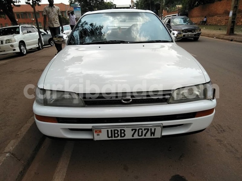 Big with watermark 67367377 1375107922637276 6681308304557211648 n