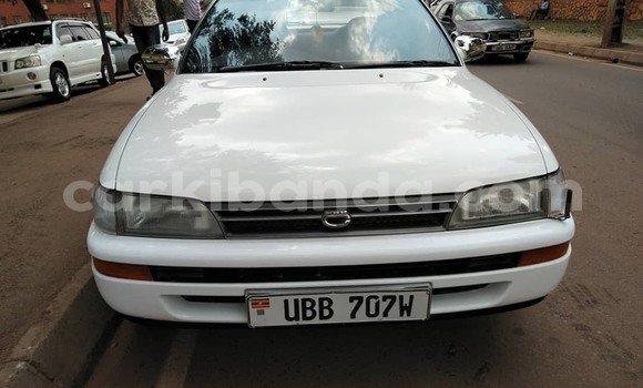 Buy Used Toyota Corolla White Car in Kampala in Uganda Buy Used Toyota Corolla White Car in Kampala in Uganda