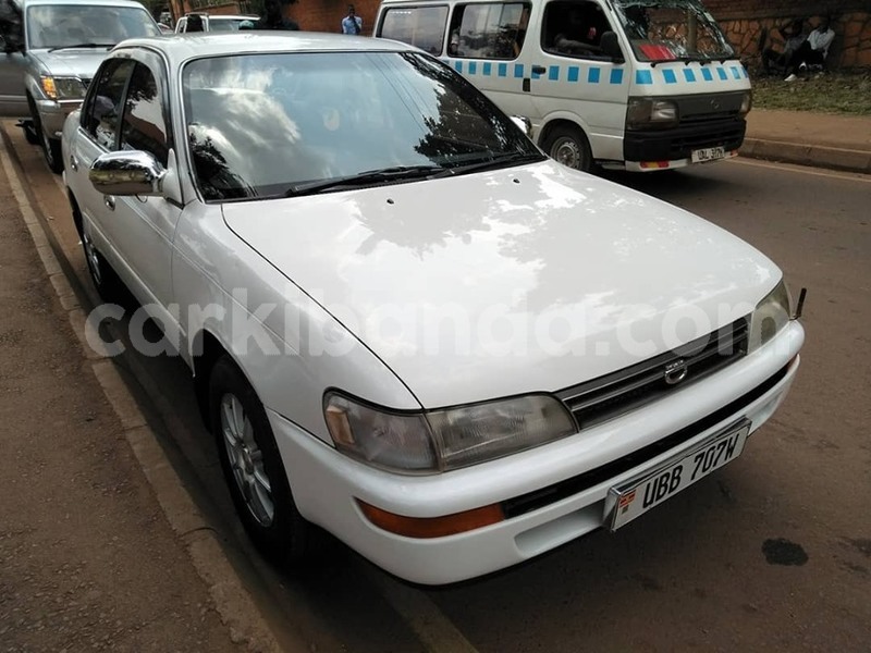 Big with watermark 67023156 1375107875970614 2132375353212010496 n