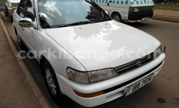 Buy Used Toyota Corolla White Car in Kampala in Uganda Buy Used Toyota Corolla White Car in Kampala in Uganda