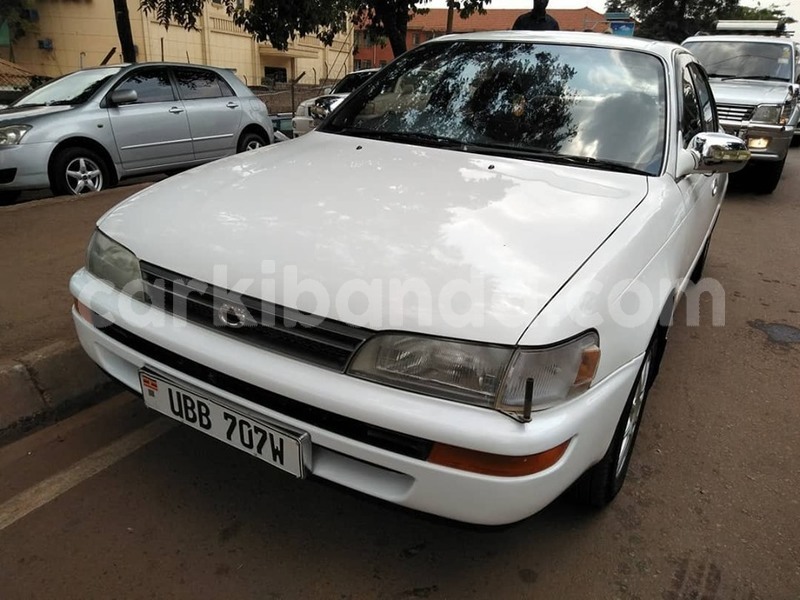 Big with watermark 67583435 1375107759303959 1240639369744744448 n