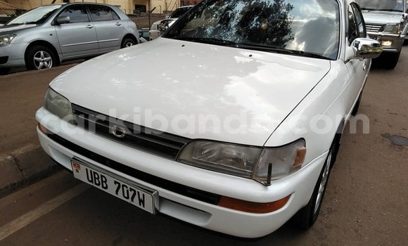 Buy Used Toyota Corolla White Car in Kampala in Uganda Buy Used Toyota Corolla White Car in Kampala in Uganda