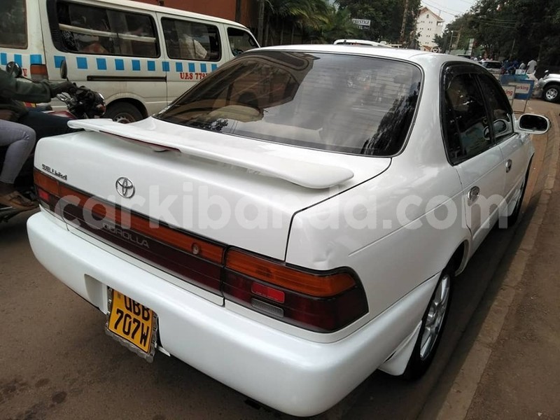 Big with watermark 67155874 1375107729303962 1881298359726112768 n