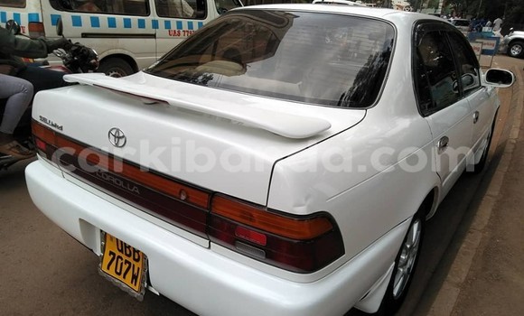 Buy Used Toyota Corolla White Car in Kampala in Uganda Buy Used Toyota Corolla White Car in Kampala in Uganda