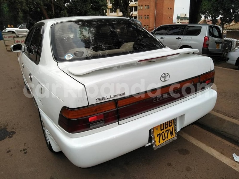 Big with watermark 67730234 1375107702637298 4058069686070280192 n