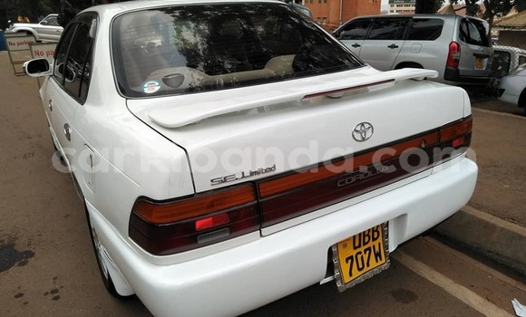 Buy Used Toyota Corolla White Car in Kampala in Uganda Buy Used Toyota Corolla White Car in Kampala in Uganda
