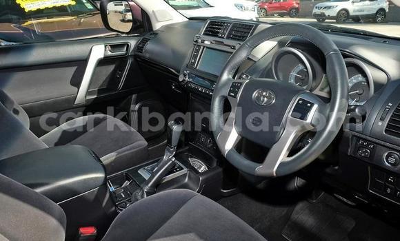 Buy Used Toyota Land Cruiser Prado Other Car in Kampala in Uganda Buy Used Toyota Land Cruiser Prado Other Car in Kampala in Uganda