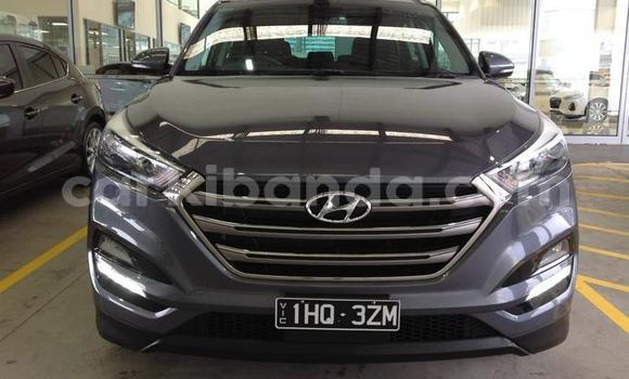 Buy Used Hyundai Tucson Other Car in Kampala in Uganda Buy Used Hyundai Tucson Other Car in Kampala in Uganda