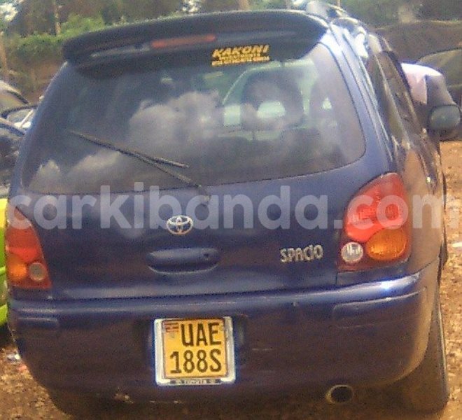 Big with watermark 14695326 1276538865723864 3907257530309395993 n