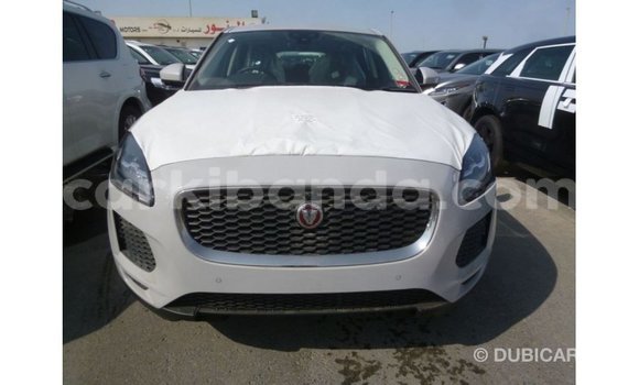 Gura Imported Jaguar E-Pace White Imodoka i Import - Dubai mu Uganda Gura Imported Jaguar E-Pace White Imodoka i Import - Dubai mu Uganda