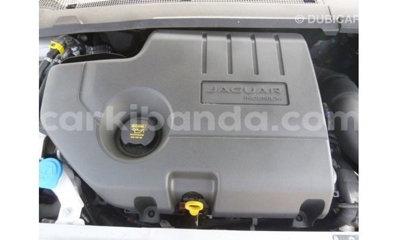 Gura Imported Jaguar E-Pace White Imodoka i Import - Dubai mu Uganda Gura Imported Jaguar E-Pace White Imodoka i Import - Dubai mu Uganda