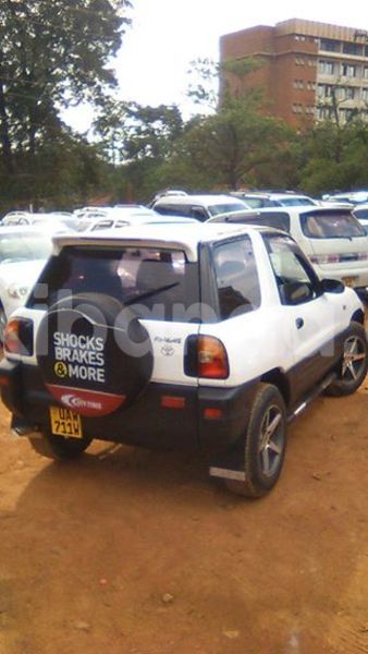 Big with watermark 14572839 1276538899057194 7605807282165903254 n