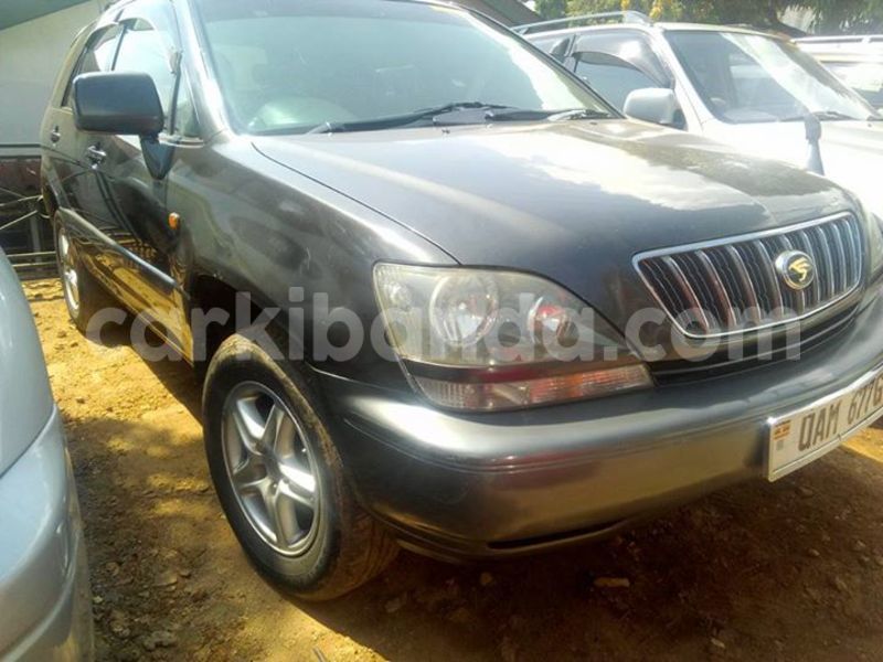 Big with watermark 14572839 1276538899057194 7605807282165903254 n