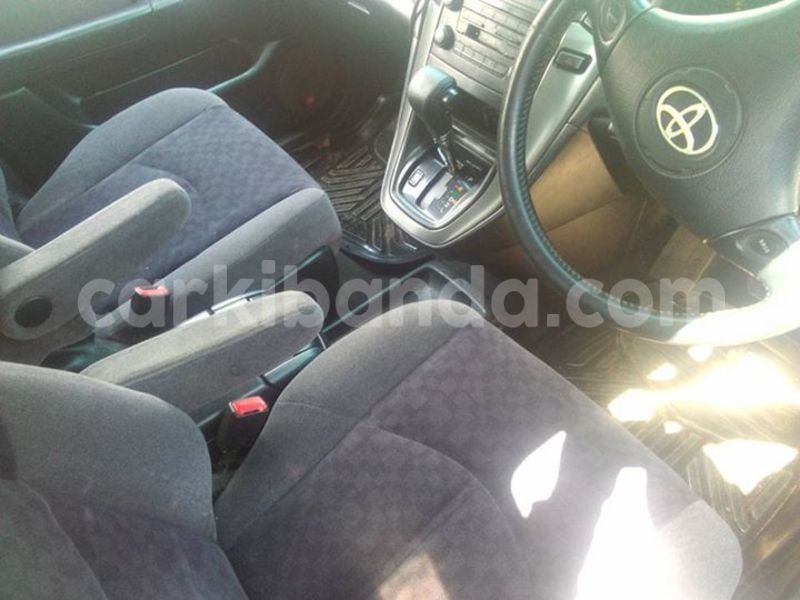 Big with watermark 14937420 10210899464142563 5142262507148257599 n