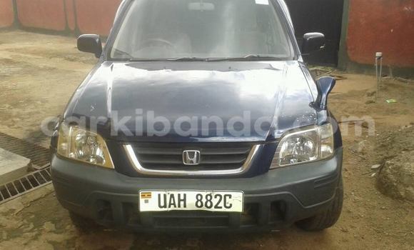 Buy Used Honda CR–V Blue Car in Kampala in Uganda
