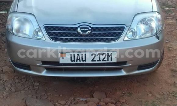 Buy Used Toyota Corolla Silver Car in Kampala in Uganda Buy Used Toyota Corolla Silver Car in Kampala in Uganda