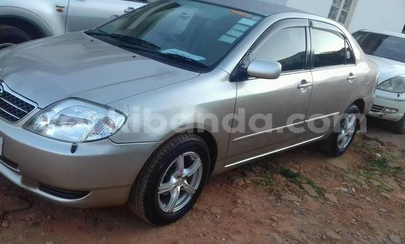 Buy Used Toyota Corolla Silver Car in Kampala in Uganda Buy Used Toyota Corolla Silver Car in Kampala in Uganda