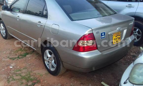 Buy Used Toyota Corolla Silver Car in Kampala in Uganda Buy Used Toyota Corolla Silver Car in Kampala in Uganda