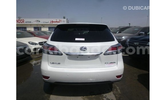 Nunua Imported Lexus RX Nyeupe Gari ndani ya Import - Dubai nchini Uganda Nunua Imported Lexus RX Nyeupe Gari ndani ya Import - Dubai nchini Uganda