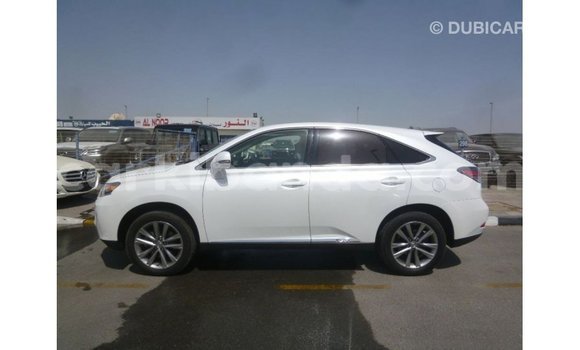 Nunua Imported Lexus RX Nyeupe Gari ndani ya Import - Dubai nchini Uganda Nunua Imported Lexus RX Nyeupe Gari ndani ya Import - Dubai nchini Uganda