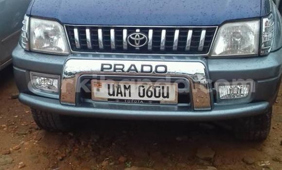 Buy Used Toyota Prado Black Car in Kampala in Uganda Buy Used Toyota Prado Black Car in Kampala in Uganda