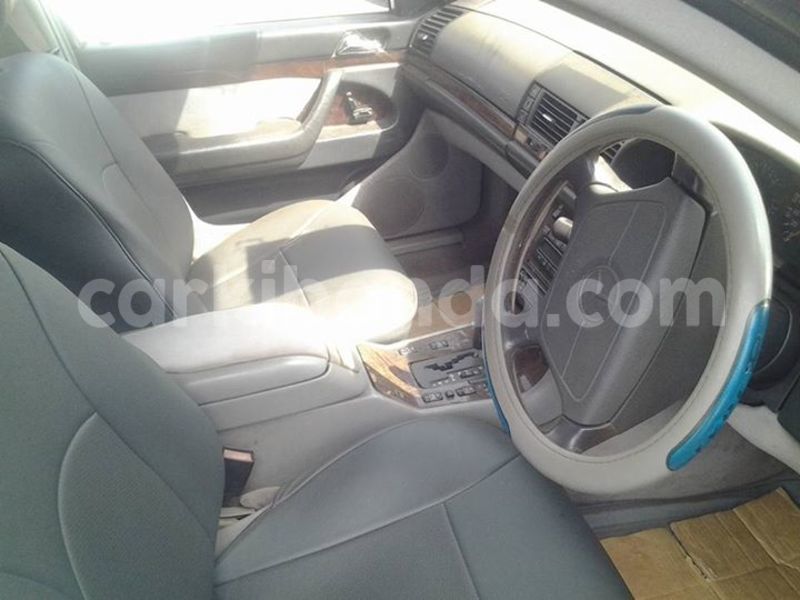 Big with watermark 14572839 1276538899057194 7605807282165903254 n