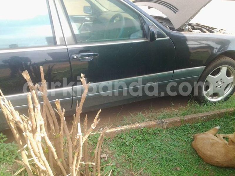 Big with watermark 14937420 10210899464142563 5142262507148257599 n