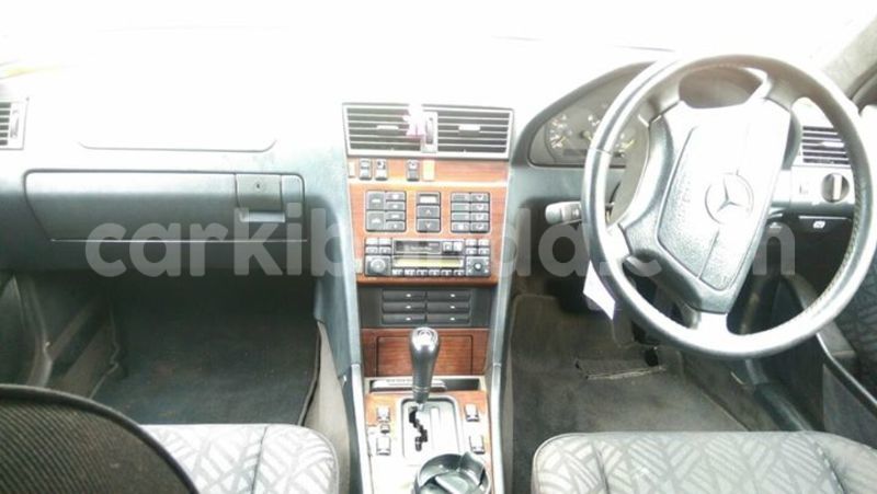 Big with watermark 14572839 1276538899057194 7605807282165903254 n