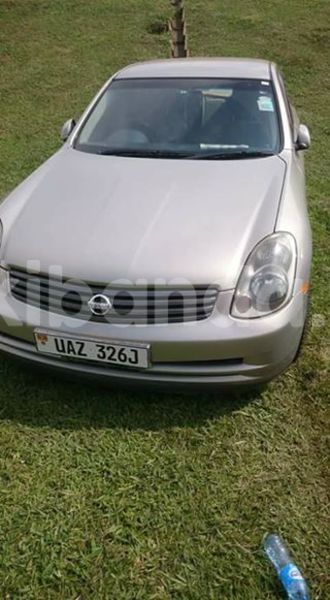 Big with watermark 14695326 1276538865723864 3907257530309395993 n