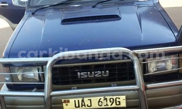 Buy Used Isuzu Rodeo Other Car in Kampala in Uganda
