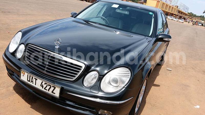 Big with watermark 14572839 1276538899057194 7605807282165903254 n