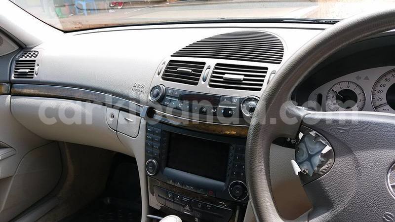 Big with watermark 14695326 1276538865723864 3907257530309395993 n