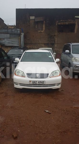 Big with watermark 14572839 1276538899057194 7605807282165903254 n