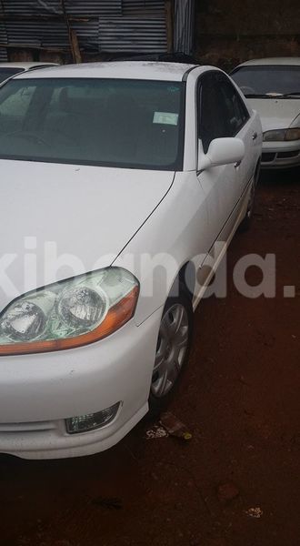 Big with watermark 14695326 1276538865723864 3907257530309395993 n