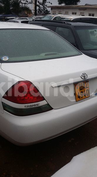 Big with watermark 14937420 10210899464142563 5142262507148257599 n