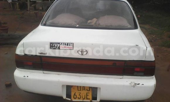 Buy Used Toyota Corolla White Car in Kampala in Uganda Buy Used Toyota Corolla White Car in Kampala in Uganda